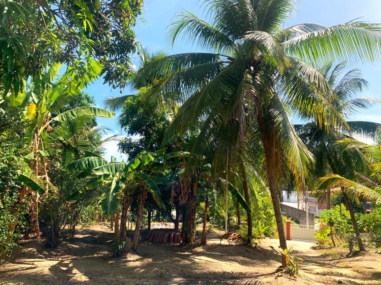 Jacarecica Haus Hotell Maceió Exteriör bild